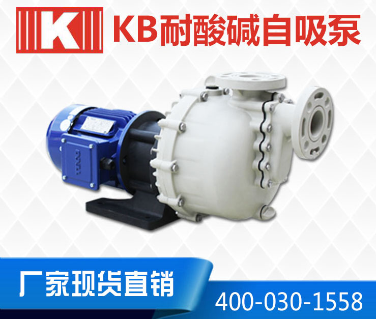 防爆小型耐酸堿自吸泵 防爆小型耐酸堿自吸泵